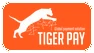 Tiger Pay
